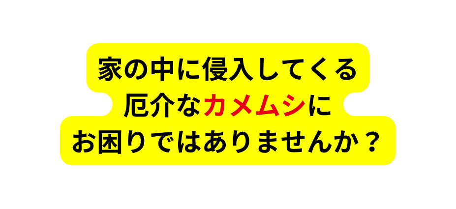 家の中に侵入してくる 厄介なカメムシに お困りではありませんか